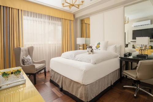 Staypineapple, An Elegant Hotel, Union Square image 41